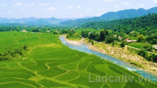 4 nội dung cần đạt của xã nông thôn mới kiểu mẫu