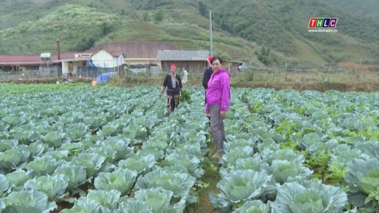 Hiệu quả Quỹ hỗ trợ phụ nữ phát triển