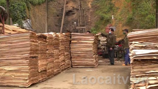 Bảo Yên: Cơ sở chế biến lâm sản gặp khó khăn trong tiêu thụ sản phẩm