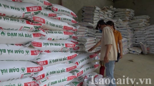 Tin thị trường 15/3: Giá phân bón tăng
