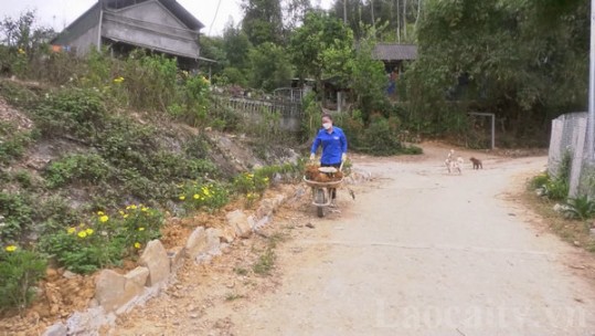 Thủ lĩnh đoàn người Tày năng động ở Bắc Hà