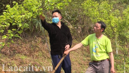 Đảng viên nêu gương trong phát triển kinh tế