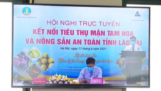 Hệ sinh thái thương mại số Lào Cai