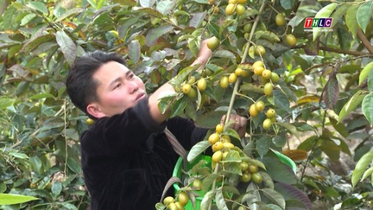 Đồng hành cùng đoàn viên, thanh niên nông thôn phát triển kinh tế