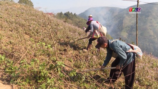 Cuộc sống mới ở Phù Lao Chải