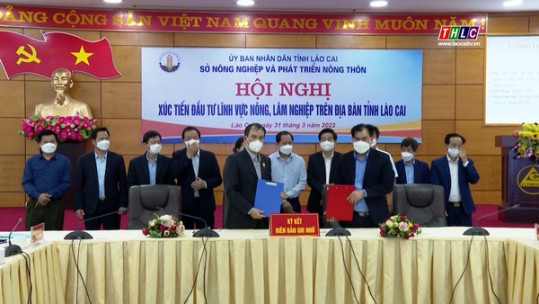 Lào Cai: Đẩy mạnh hợp tác đầu tư vào nông, lâm nghiệp