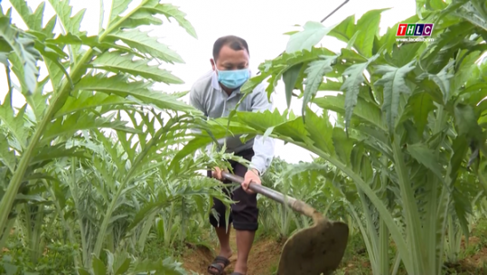 Sa Pa phát triển nguồn vốn do tổ chức đoàn quản lý