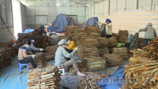 Nông nghiệp hàng hóa – Nền tảng xây dựng huyện nông thôn mới bền vững