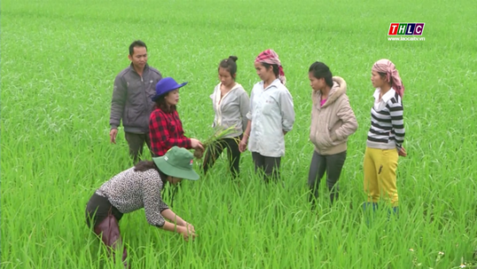 Đổi mới hoạt động khuyến nông đáp ứng yêu cầu sản xuất nông nghiệp hàng hóa