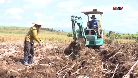 Biến đất khó cho mật ngọt