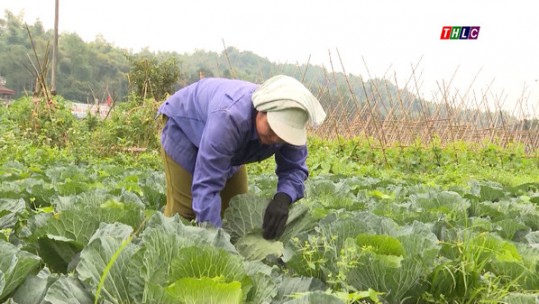 Thống Nhất thi đua nâng cao chất lượng nông thôn mới