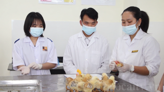 Đào tạo nhân lực xuất khẩu lao động