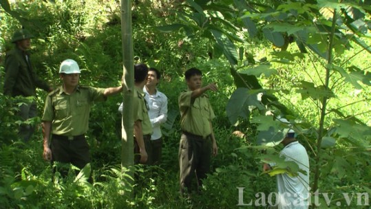Nâng cao hiệu quả truyền thông về quản lý rừng bền vững