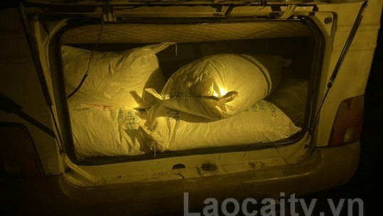 Lào Cai: Bắt giữ đối tượng vận chuyển gần 1 tấn  chất cực độc Xyanua