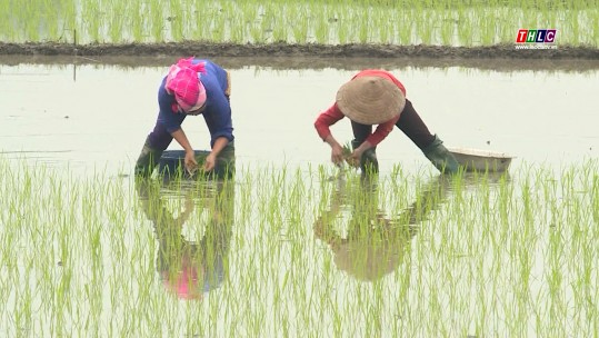 Bảo Thắng tạo mặt bằng sạch kêu gọi đầu tư