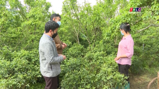 Bắc Hà phát huy hiệu quả các mô hình “Dân vận khéo”