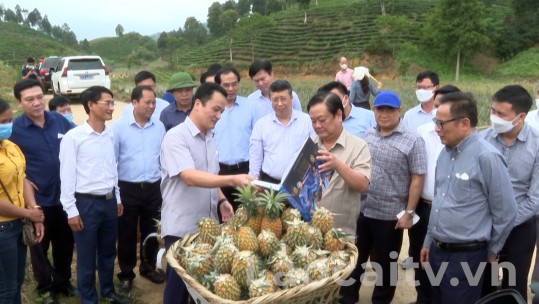 Bộ trưởng Bộ NN&PTNT kiểm tra một số vùng sản xuất hàng hóa chủ lực ở Mường Khương
