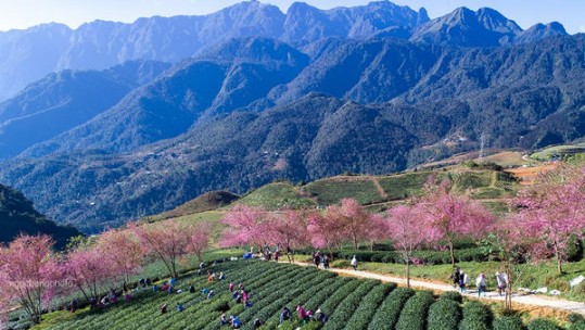 Lào Cai ưu tiên nguồn lực cho phát triển xanh