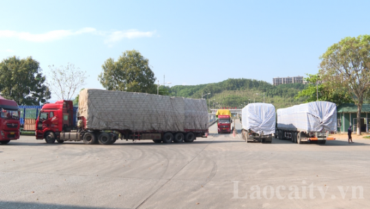 Hoạt động xuất nhập khẩu bắt đầu nhộn nhịp trở lại