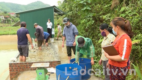 “Bạn giúp bạn” - Điểm tựa của hội viên phụ nữ
