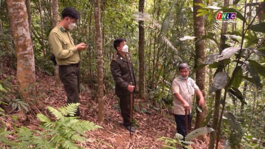 Bản Lọt, bảo vệ rừng là giữ gìn nguồn nước