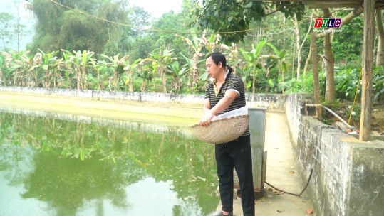 Nông dân ở Bản Sen làm giàu từ nuôi cá