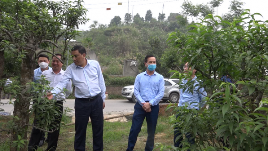 Đồng chí Hoàng Giang dự sinh hoạt chi bộ điểm tại Bảo Thắng