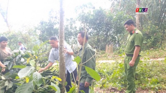 Phát huy vai trò dòng họ tự quản về an ninh trật tự tại Bắc Hà
