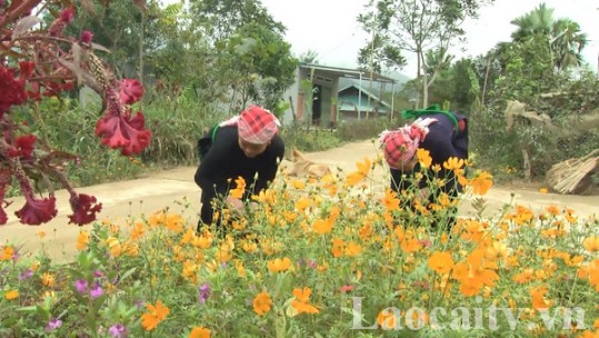 Giai đoạn 2022 - 2025, Văn Bàn phấn đấu có thêm 6 xã nông thôn mới