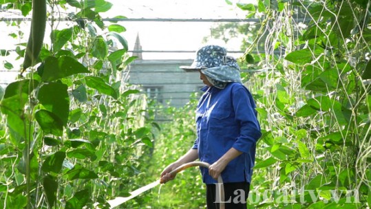 Thay đổi tư duy sản xuất trong đồng bào dân tộc thiểu số