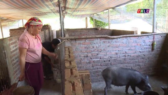 Bát Xát nâng cao giá trị kinh tế giống vật nuôi bản địa