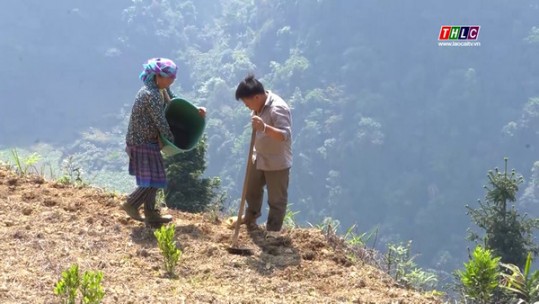 Kinh nghiệm bảo vệ rừng hiệu quả ở Tả Ngài Chồ