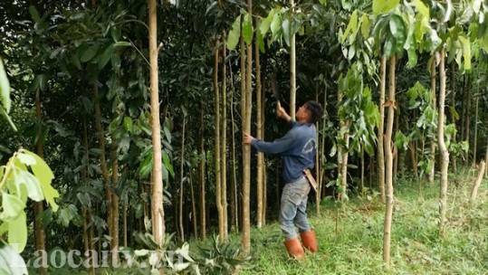 Tập trung nguồn lực giảm tỷ lệ hộ nghèo