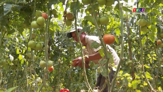 Lào Cai giải quyết việc làm cho gần 5.700 lao động