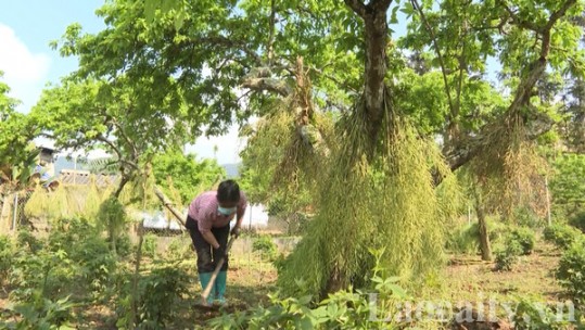 Đẩy mạnh các phong trào thi đua giảm nghèo