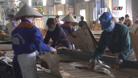 Chú trọng chế biến sâu sản phẩm lâm nghiệp