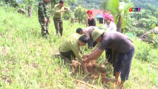 Nâng cao hiệu quả kinh tế lâm nghiệp