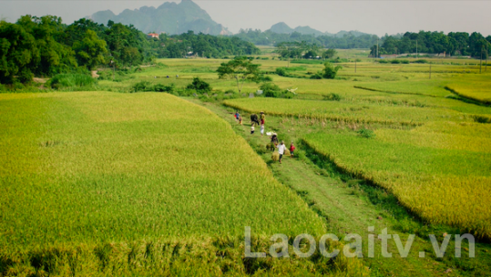 Chương trình Mở rộng quy mô vệ sinh và nước sạch nông thôn