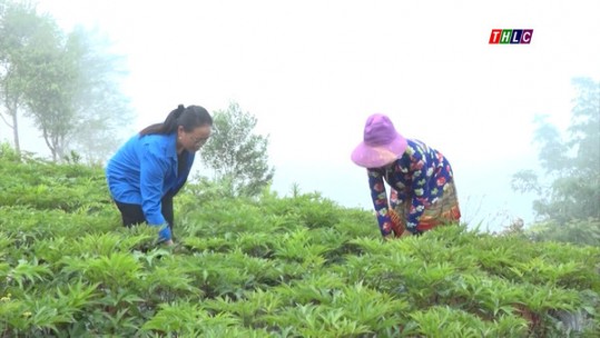 Si Ma Cai phấn đấu tốc độ tăng trưởng kinh tế đạt trên 9%