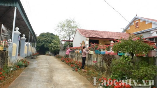 Chung tay cải thiện môi trường nông thôn
