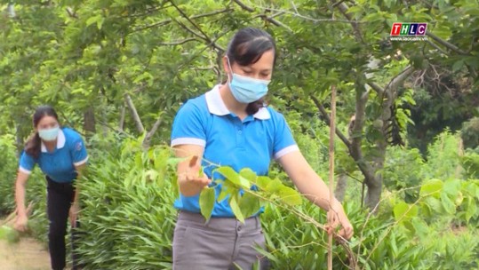 Bảo Thắng chú trọng phát triển đảng viên nữ