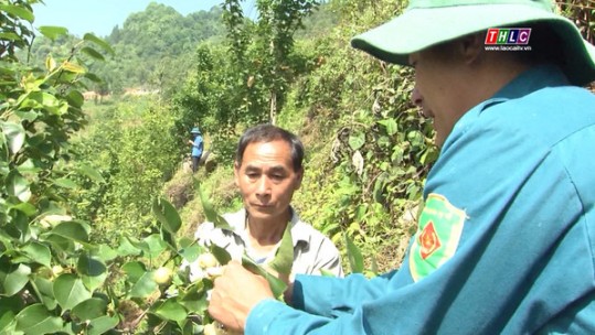 Si Ma Cai: Trên 1 tỷ đồng để đào tạo, tập huấn sản xuất nông nghiệp