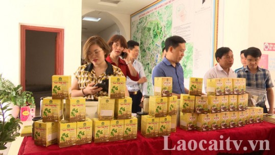 Công nhận nhãn hiệu tập thể cho các sản phẩm Lào Cai