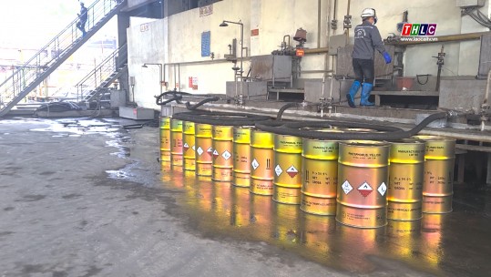Phòng chống bệnh nghề nghiệp cho người lao động