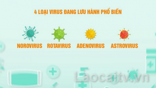 Tìm ra nguyên nhân khiến nhiều trẻ có triệu chứng nôn, tiêu chảy