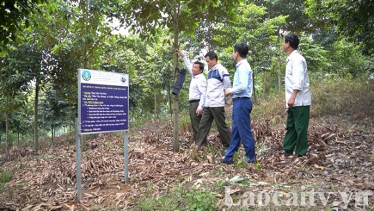Triển khai các dự án nông nghiệp trọng điểm