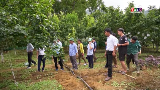 Chuyển biến tích cực trong học tập và làm theo Bác ở Đảng bộ huyện Bát Xát