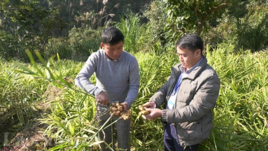 Văn Bàn phát huy vai trò người đứng đầu cấp ủy ở cơ sở