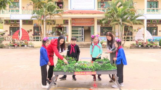 Bắc Hà đẩy mạnh nghiên cứu khoa học trong nhà trường