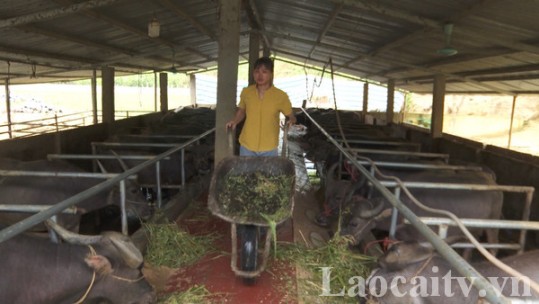 Nguồn vốn ủy thác tạo động lực cho phụ nữ phát triển kinh tế
